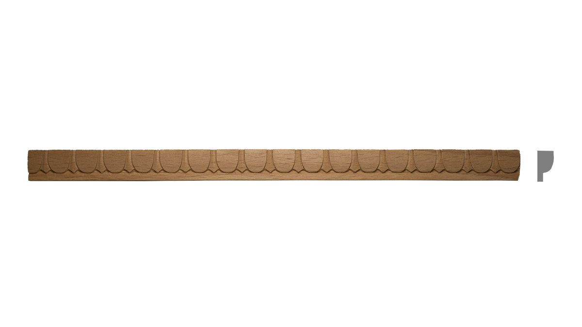 N5007N
