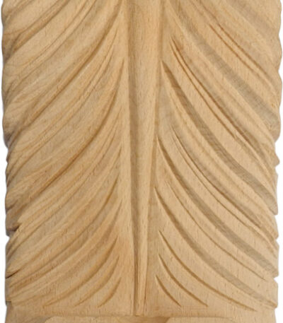 Γωνιόκρανο